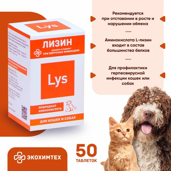 Лизин для кошек и собак